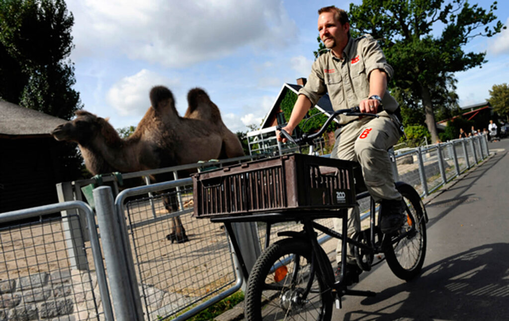 Workwear for Zoo København